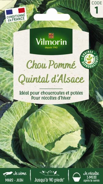 Potagères - Chou Blanc Quintal d'Alsace - PACKAGING_RECTO